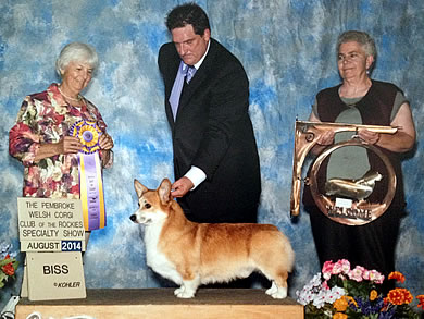 Cefin's A Boy Named Sue, "Cash," Best of Breed
