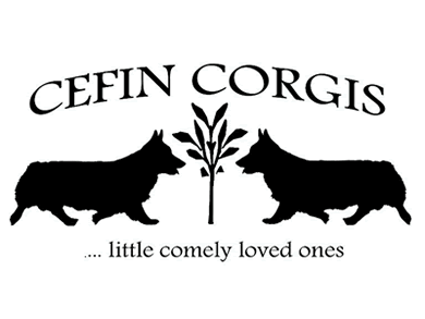 Cefin Corgis